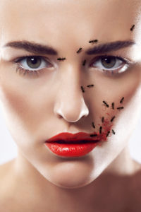 beauty composing picture with ants and eye shadow pigments beauty composing picture with ants and eye shadow pigments